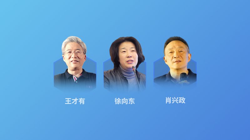 揭秘气血调理：按摩手法与穴位运用之道